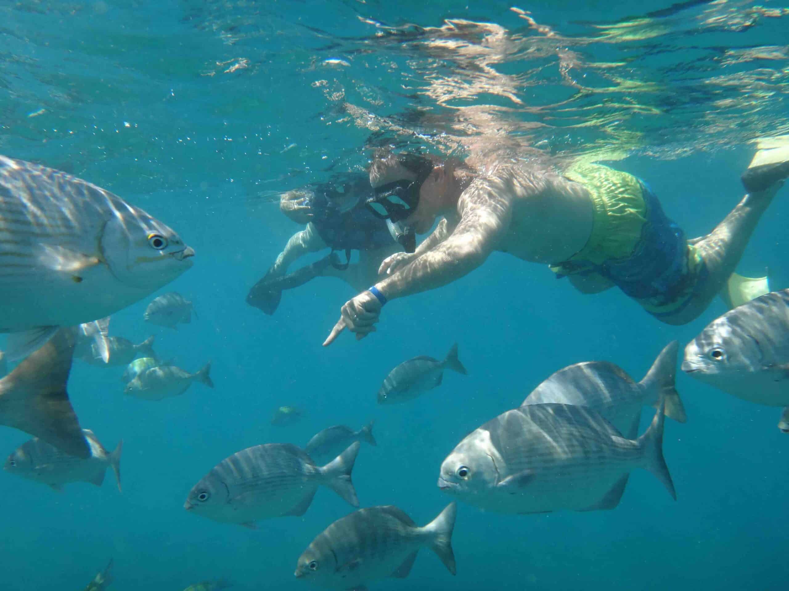 Cabo Transfers Cabo Tours Mobile Page Header