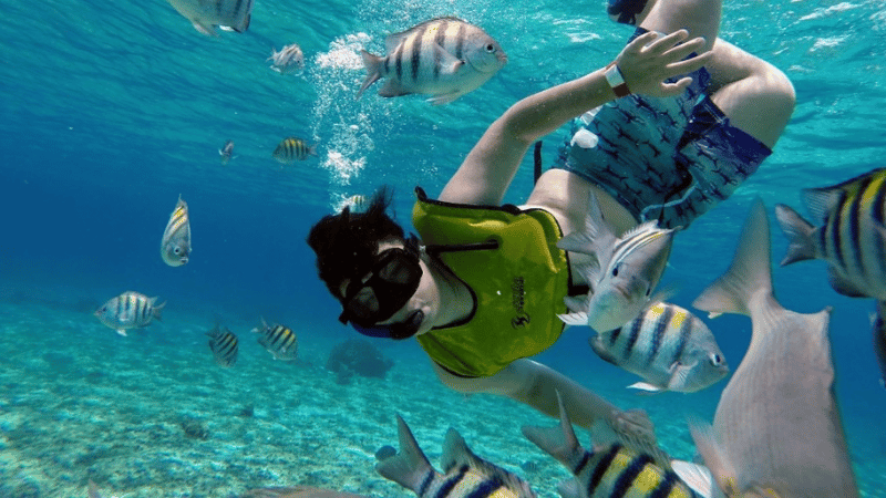 Tour de Snorkel 2