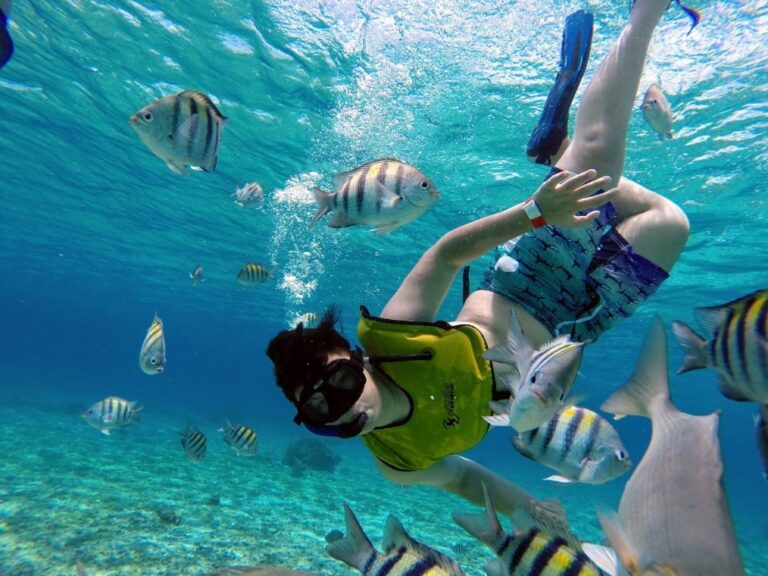 Tour de Snorkel 2 (1)