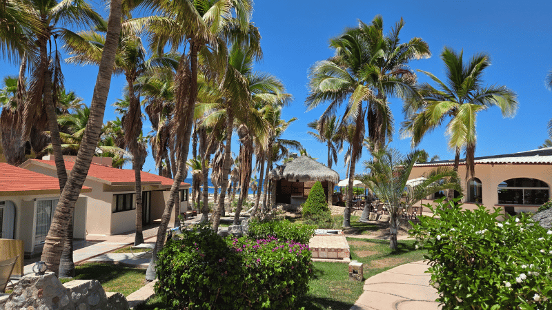 cabo transfers losbarriles location mobile