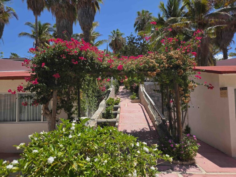 cabotransfers losbarriles 3
