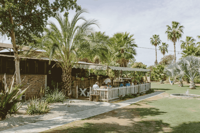 Cabo Transfers Flora Farm Resized (3)