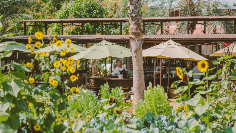 cabotransfers florafarms header mobile